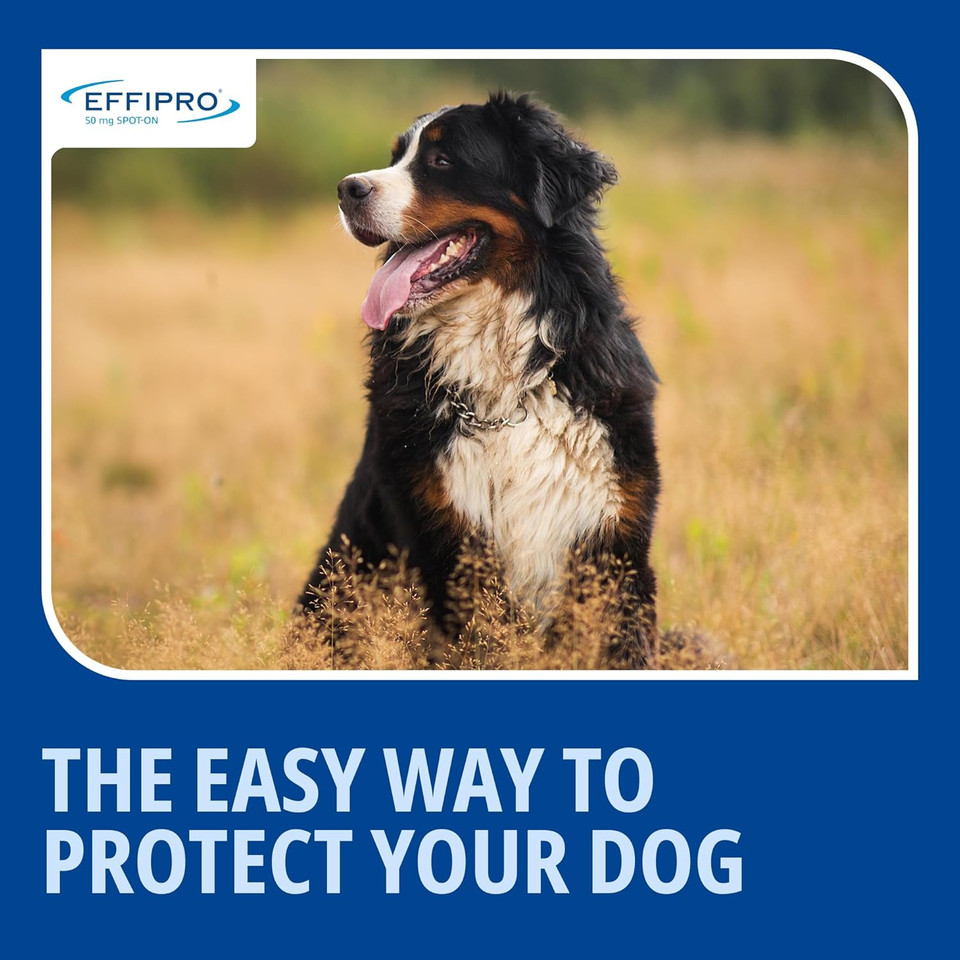 Effipro Spot On for Large Dogs, 20-40kg, 4 Pipettes