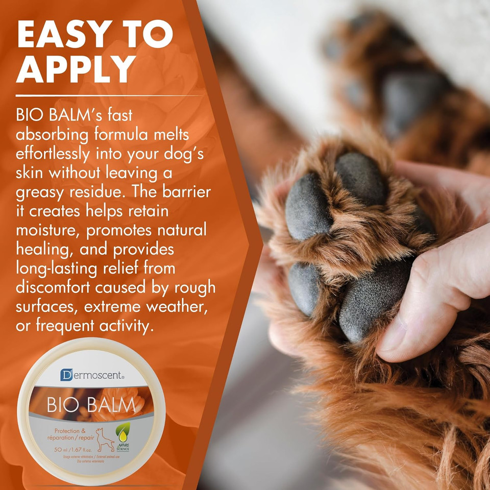 Dermoscent | Bio Balm | Dog Paw Balm | Organic Moisturizer for Paw Pads, Nose & Elbow | Itchy Dog Skin Relief | Soothes Sensitive Paws | 50ml