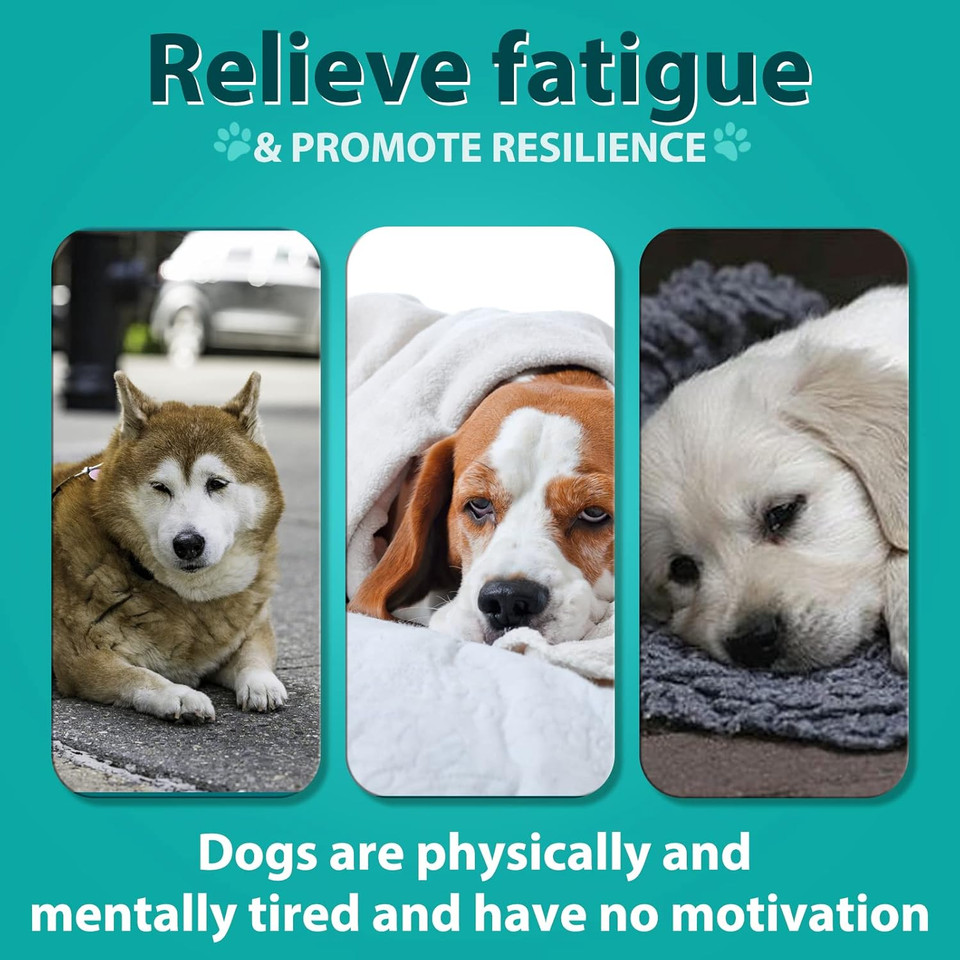 HUALIJIA Calming Treats For Dogs, 110 Count Hemp Calming Chews for Dogs - Reduce Stress Relief, Separation, Barking, Fireworks, Thunderstorms - 100% Natural Ingredients Dogs Calming Treats (Duck)