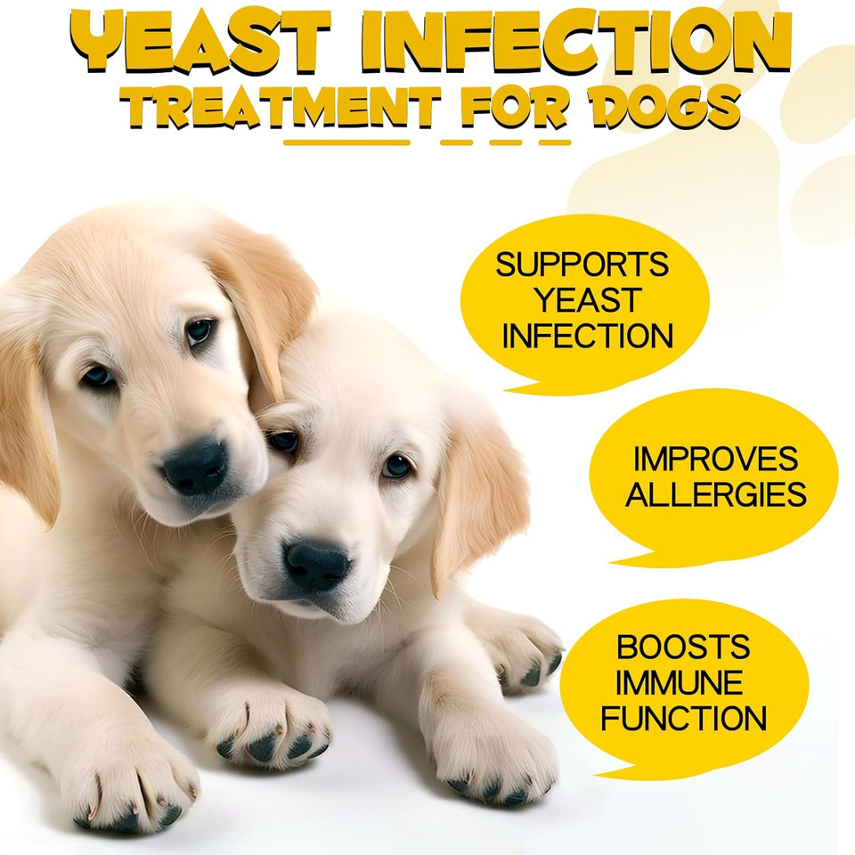 HUALIJIA Yeast Infection Treatment for Dogs, Natural Dog Yeast Infection Drops for Dog Skin Itch Relief, Dog Allergy Relief, Dog Yeast Ear Infection Treatment, 60ml