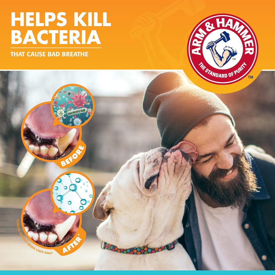 Arm & Hammer Clinical Gum Health Enzymatic Toothpaste for Dogs in Chicken Flavor, 67.5 g (Pack of 1)