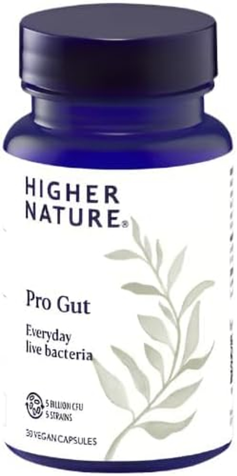 Higher Nature - Pro Gut - High Strength Probiotic Cultures - Multi-Strain Probiotic for Digestive System - Everyday Live Bacteria - 5 Billion CFUs - for Good Gut Flora, Gas & Bloating - 30 Capsules