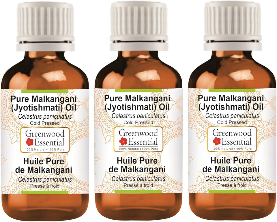 Greenwood Essential Pure Malkangani (Malkangni/Jyotishmati) Oil (Celastrus paniculatus) Cold Pressed 100ml x 2 (6.76 oz) Greenwood Essential Pure Malkangani (Malkangni/Jyotishmati) Oil (Celastrus paniculatus) Cold Pressed 100ml x 2 (6.76 oz)