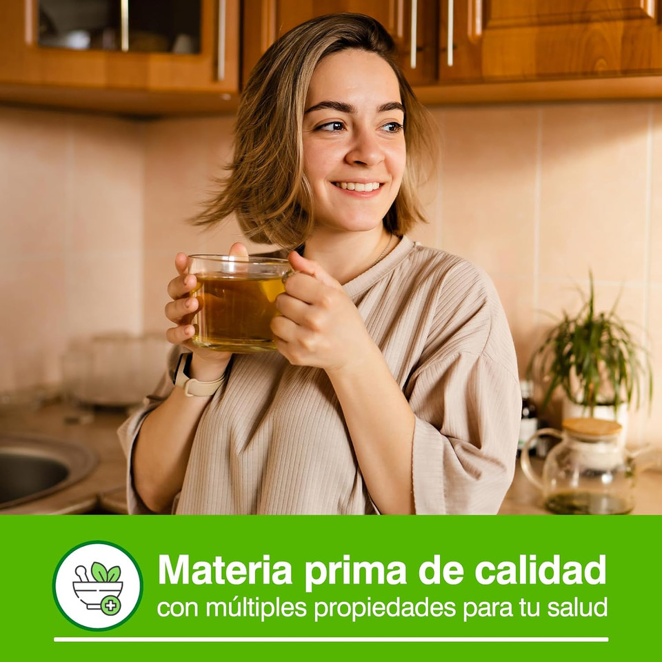 SORIA NATURAL - Infusion Anise 20U. Soria