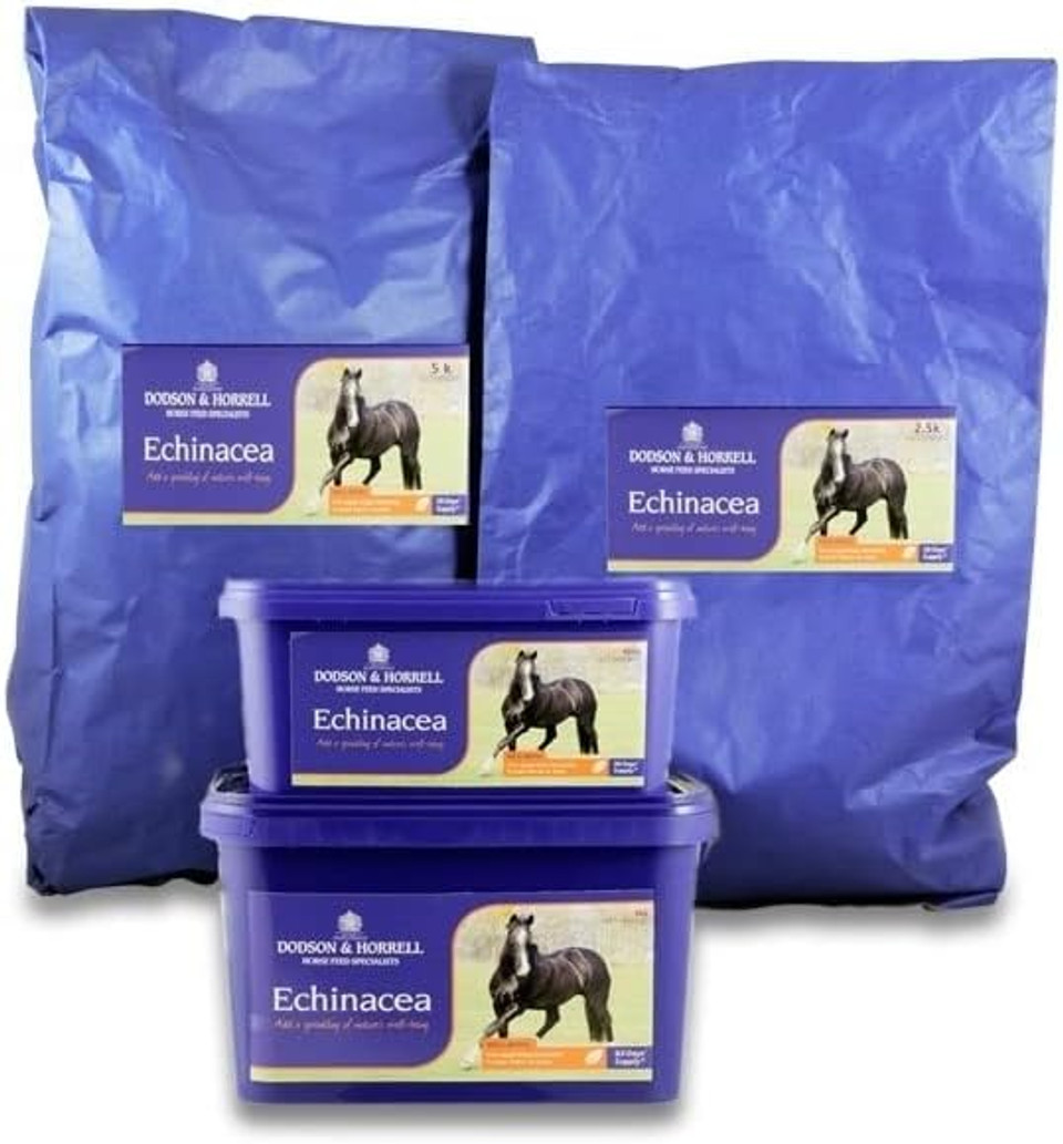 Dodson & Horrell Echinacea Horse Supplement, 1 kg