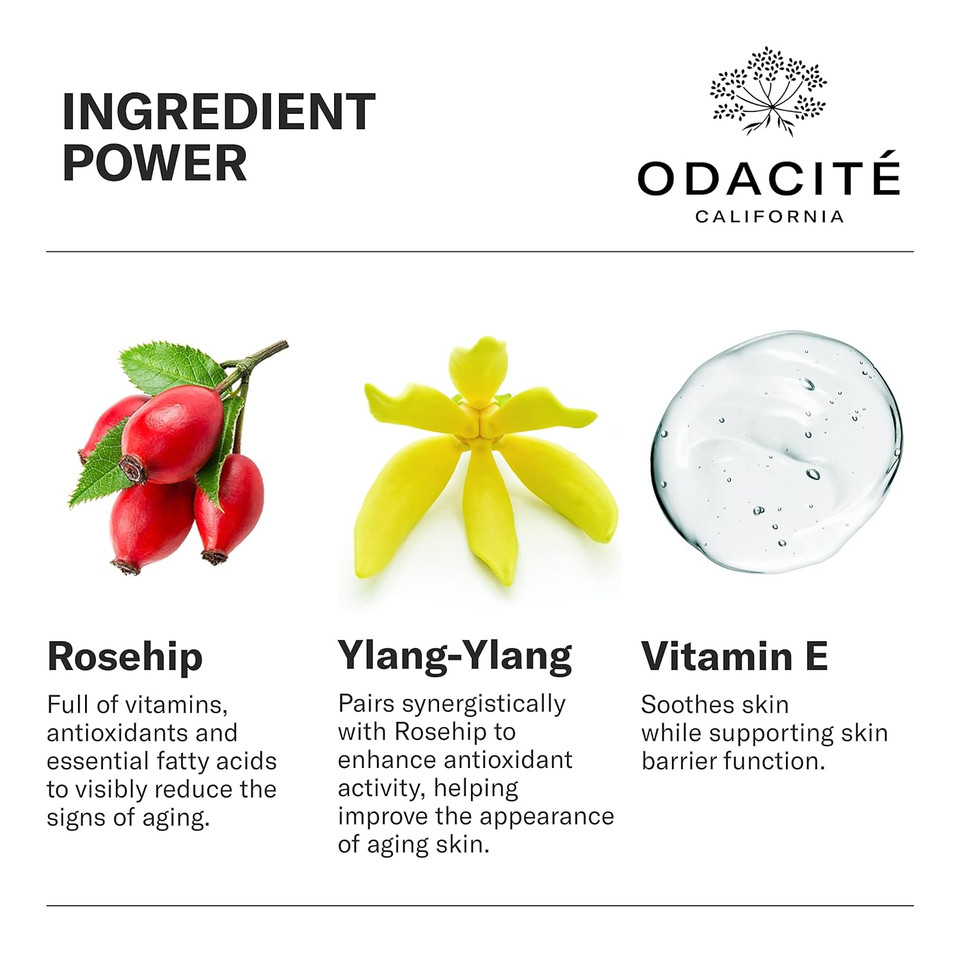 Odacitã£Â© Anti Aging Serum Concentrate With Rosehip + Ylang-Ylang - Lightweight Facial Serum For Mature Skin, Fine Lines, Nourishes For Look Of Plump, Youthful Skin - 0.17 Fl. Oz