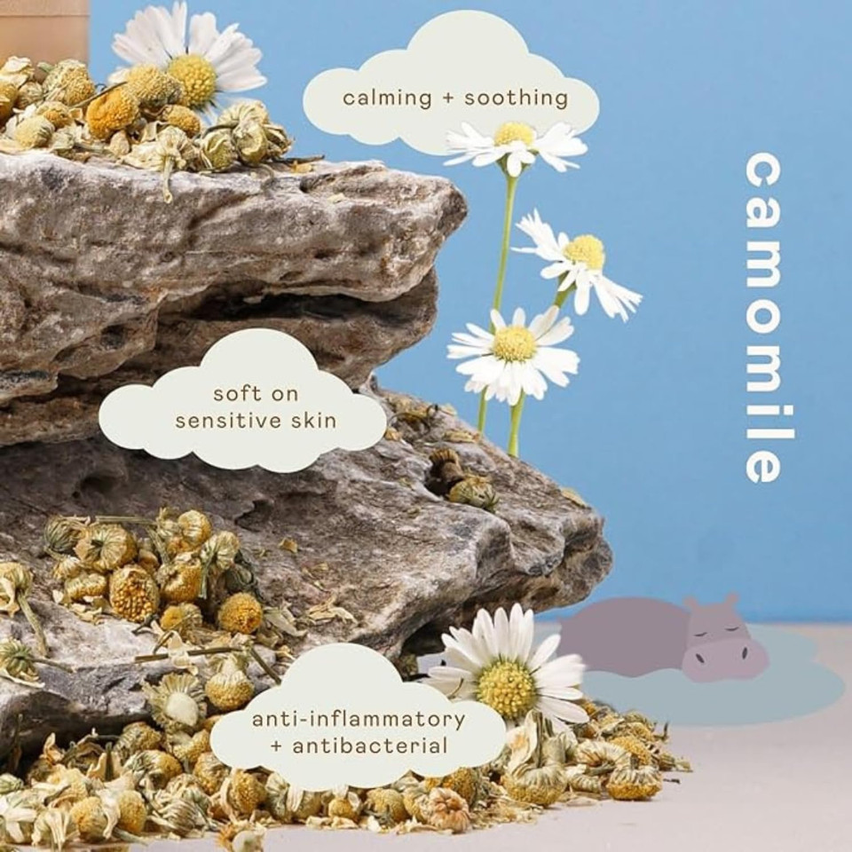 Nala's Baby Body Wash & Shampoo | Award-winning | 99% Natural | Dermatologically-tested and Paediatrician-approved | Tear-Free | Vanilla scent | Oats, chamomile & hibiscus | Vegan | 400ml | Nalas Baby