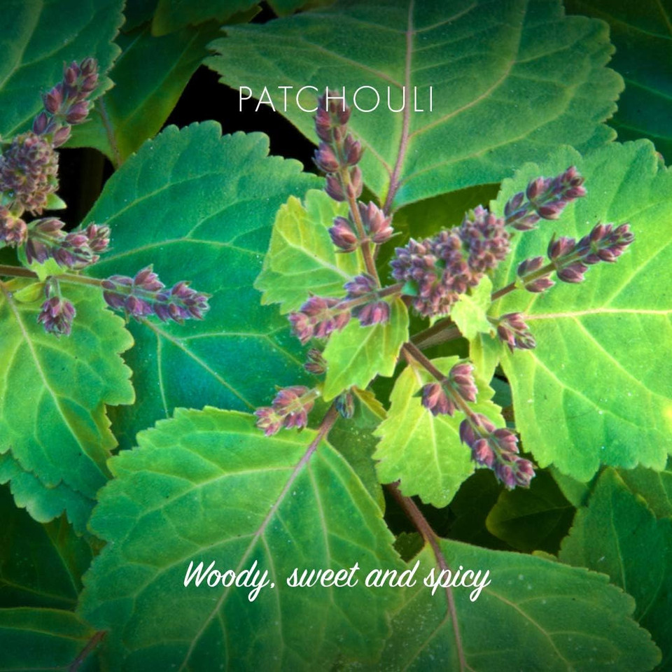 Friendly Soap Natural Handmade Patchouli and Sandalwood Soap (Case of 6)