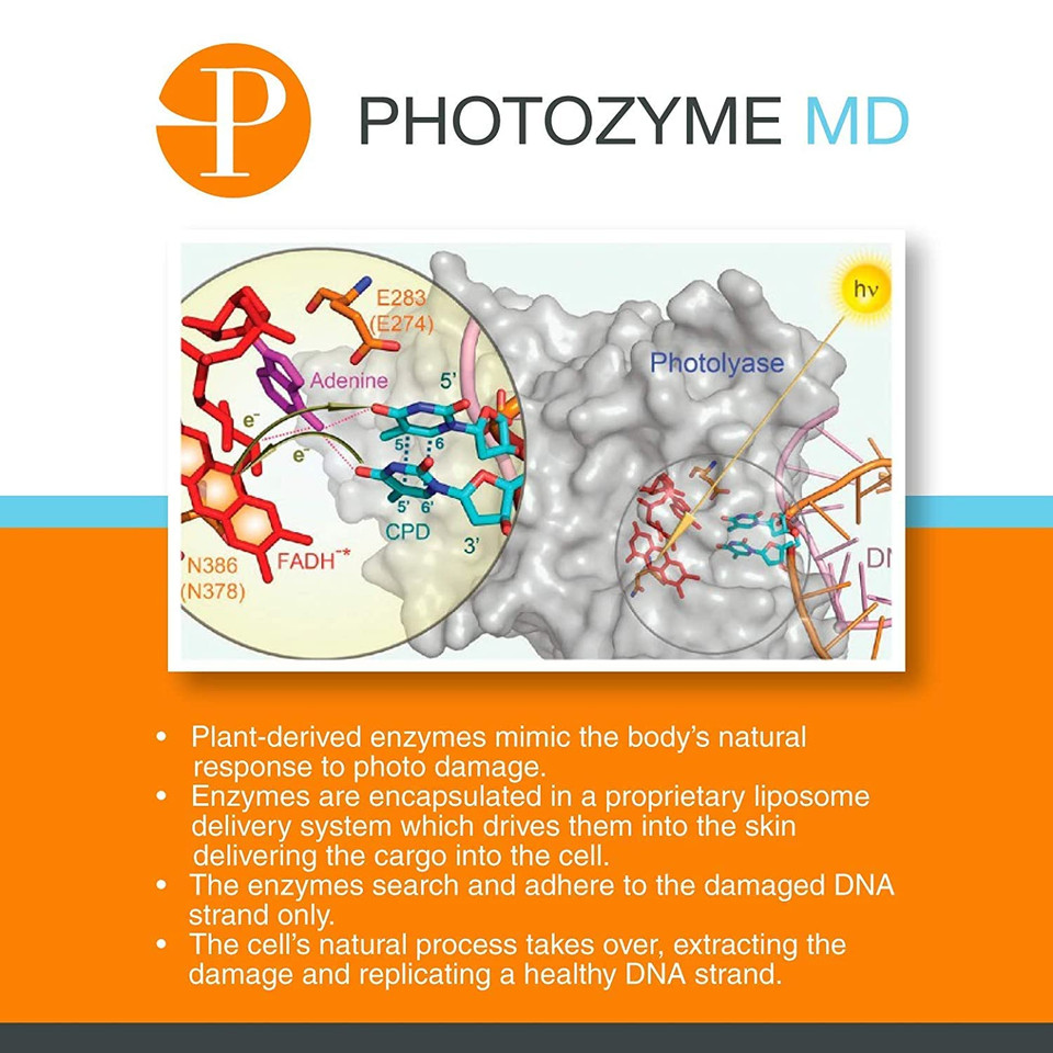 Photozyme Anti Aging Vitamin C + E Ferulic Acid Face Skincare | Plant Derived Dna Enzymes | Anti Aging Beauty Skincare Treatment For Fine Lines | 1 Fl. Oz/30 Ml