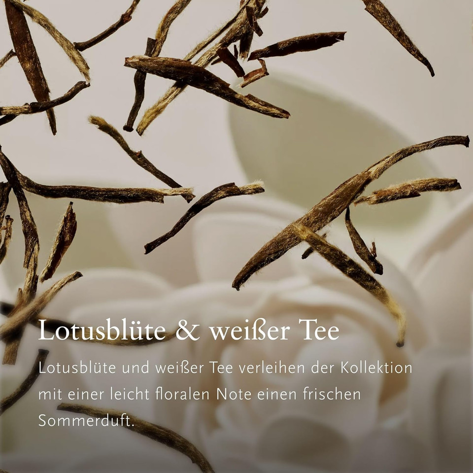 RITUALS Body Cream + Refill The Ritual of Mehr Gift Set - Energising Body Cream with Sweet Orange and Cedar Wood - Nourishing Properties, 220ml + 220ml RITUALS Body Cream + Refill The Ritual of Mehr Gift Set - Energising Body Cream with Sweet Orange and Cedar Wood - Nourishing Properties, 220ml + 220ml