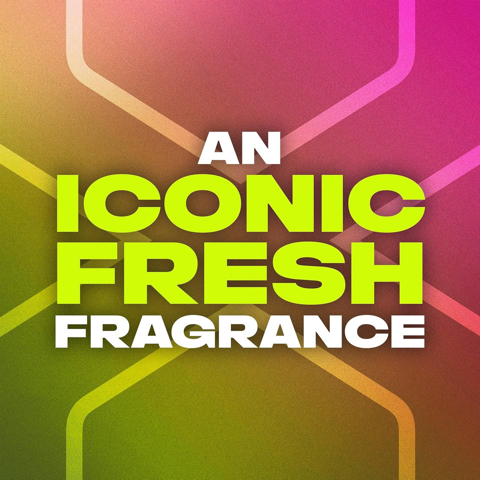 Lynx Epic Fresh Roll On 50 ml