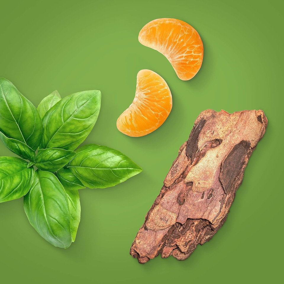 Calvin Klein Eternity Men Deodorant Stick, 75 G