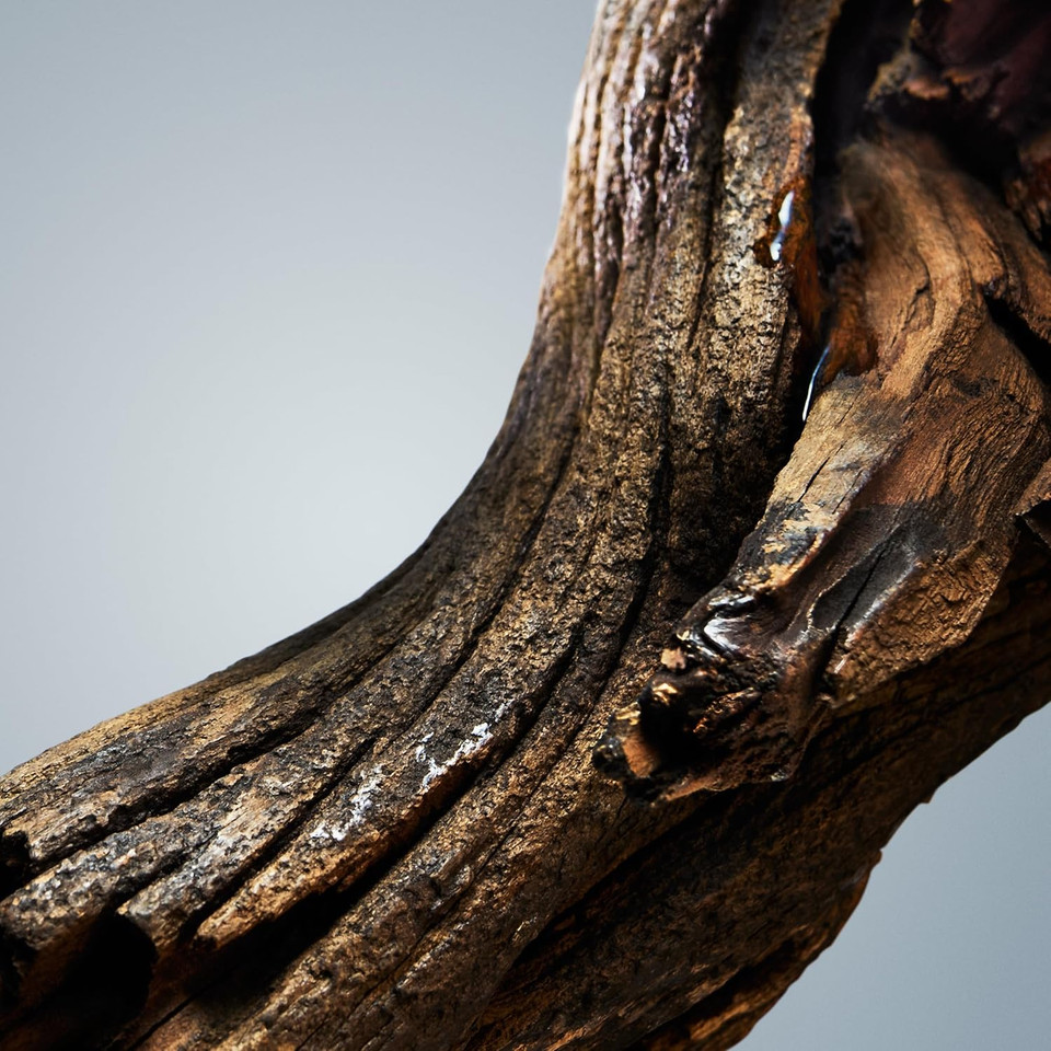 BOSS Bottled Deodorant Stick for Him - Woody Scent with Notes of Apple, Cinnamon and Wood - Light Longevity - 75ml