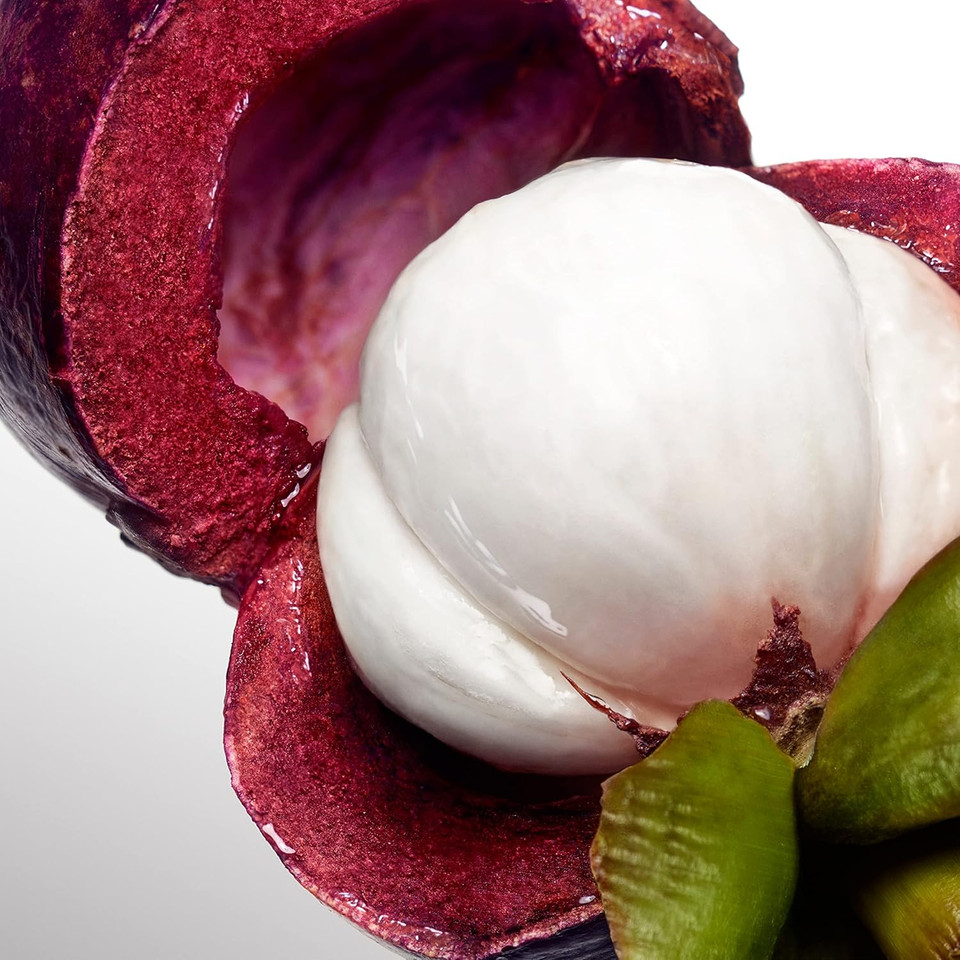 Davidoff Cool Water Woman Intense Eau de Parfum 100ml 46440012000