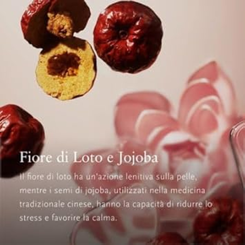 RITUALS Gift Set The Ritual of Jing S - 4 Home and Skincare Products Enriched with Lotus Flower and Jujube - Bath Gift Box with Calming and Caring Properties RITUALS Gift Set The Ritual of Jing S - 4 Home and Skincare Products Enriched with Lotus Flower and Jujube - Bath Gift Box with Calming and Caring Properties