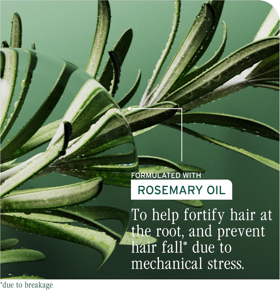 Biolage Full Rescue Invigorating Scalp Serum, Increases Resistance to Hair Fall, Enriched With Rosemary Oil & Niacinamide, For Breaking & Falling Hair, 50ml Biolage Full Rescue Invigorating Scalp Serum, Increases Resistance to Hair Fall, Enriched With Rosemary Oil & Niacinamide, For Breaking & Falling Hair, 50ml