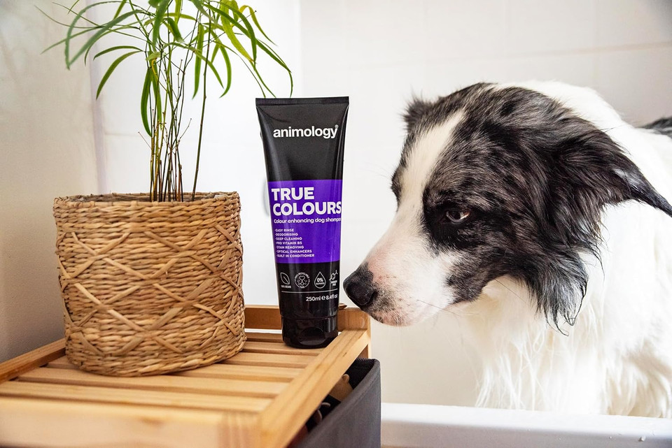 Animology True Colours Coat Enhancing Dog Shampoo 250ml