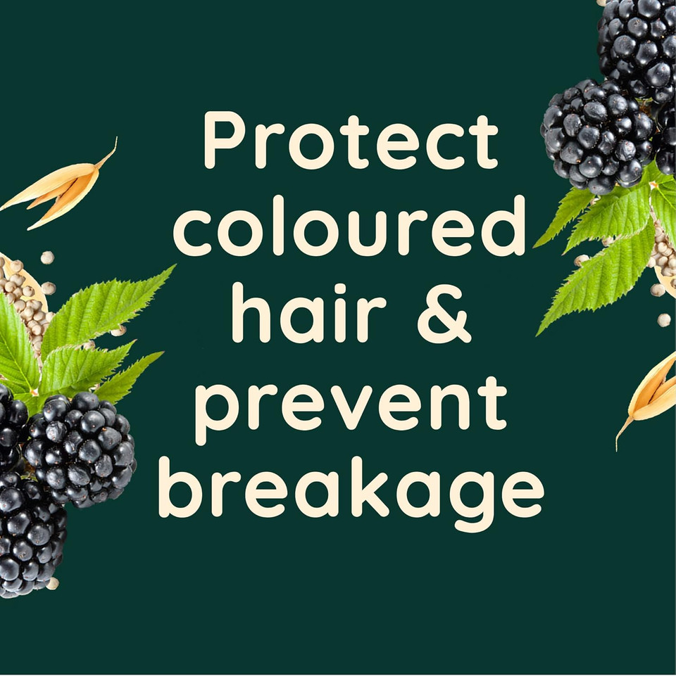 Aveeno Colour Protect Blackberry and Quinoa Scalp Soothing Conditioner for Colour Treated Hair 300ml