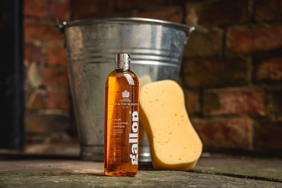 Carr & Day & Martin Gallop Colour Enhancing Shampoo - Chestnut & Palomino 500ml