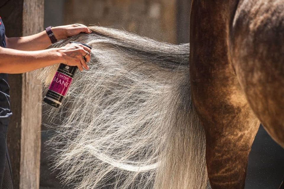 Carr & Day & Martin Canter Mane & Tail Conditioner 500ml