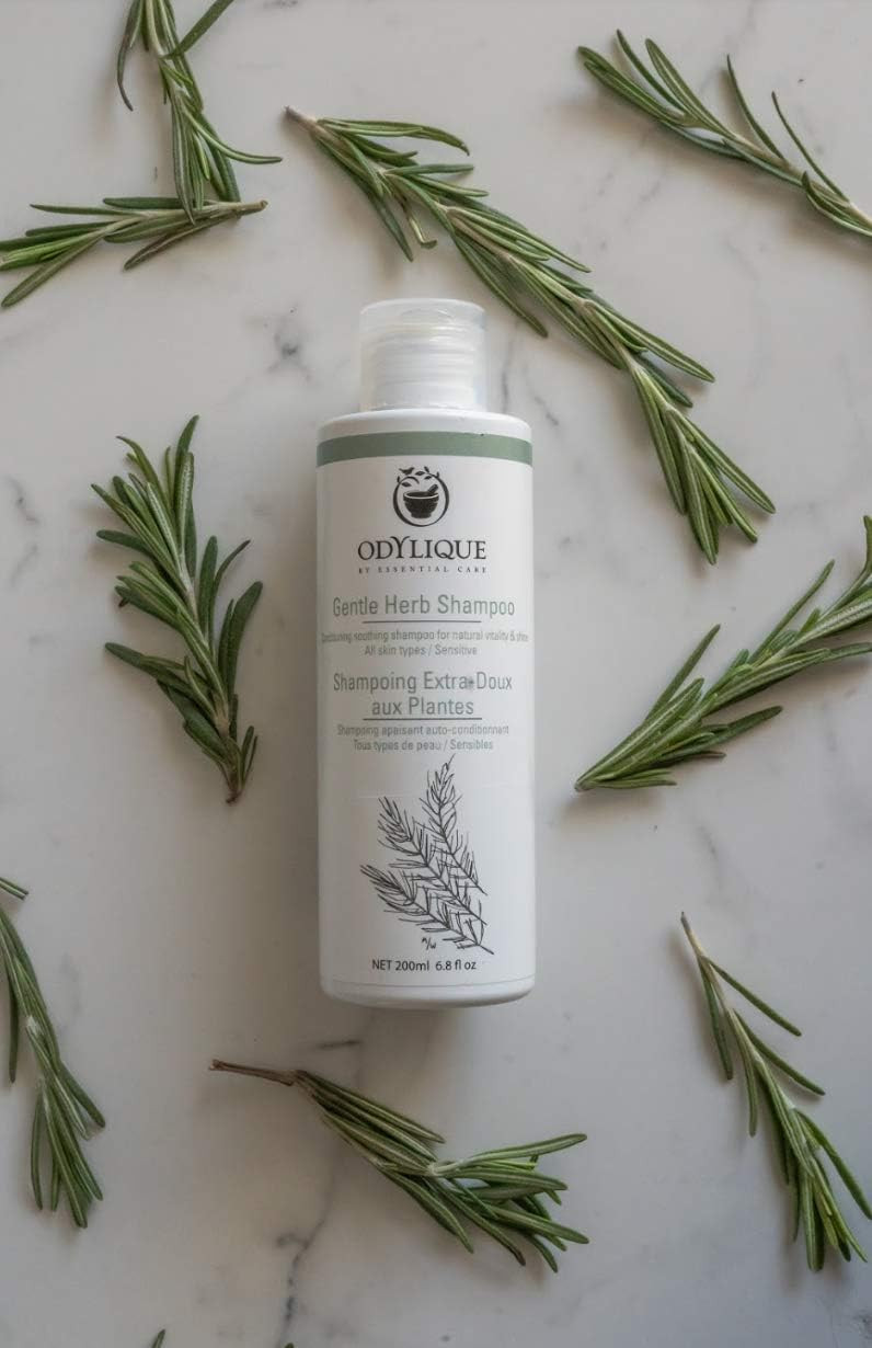 Odylique Organic & Natural Tea Tree Shampoo 500ml | For Itchy Scalp | Vegan & 100% Natural | Sulphate Free Shampoo & Silicone Free | Salt Free
