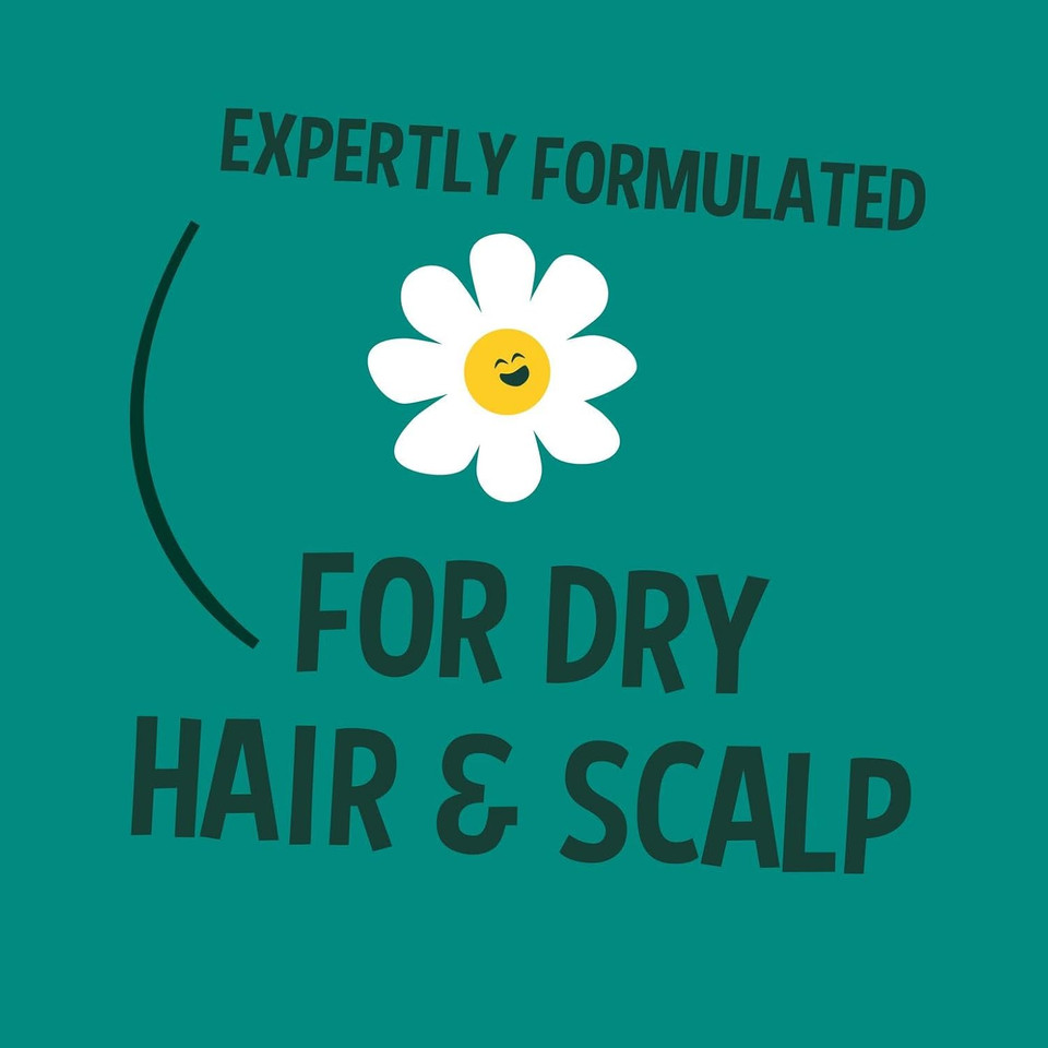 Faith In Nature Natural Seaweed & Citrus Shampoo, Detoxifying for Oily Hair & Scalp, Vegan & Cruelty Free, No SLS, Silicones or Parabens, 5L Refill Pack