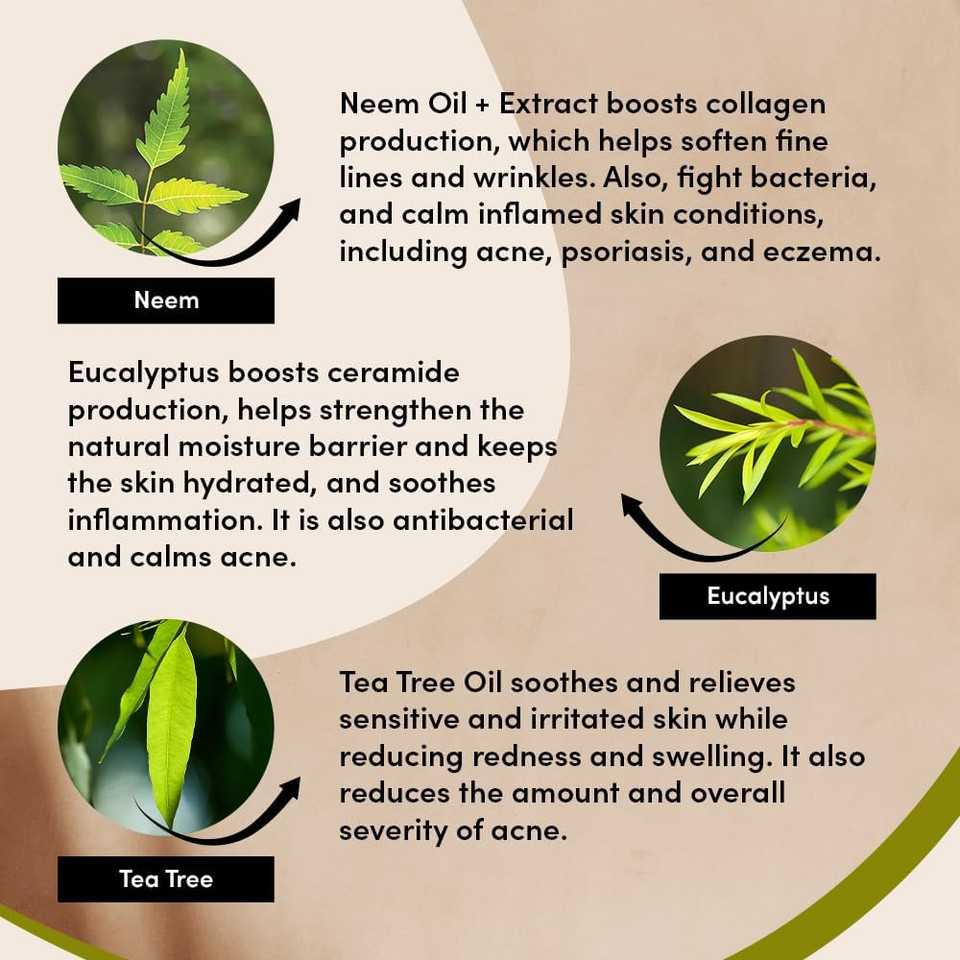 Urban Veda Oil Control Purifying Day Cream | Active Neem & Tea Tree| Face Care | Oily & Congested Skin| Natural Face Moisturiser with BHA | Vegan | Moisturiser Face Women | Collagen Face Cream | 50 ML