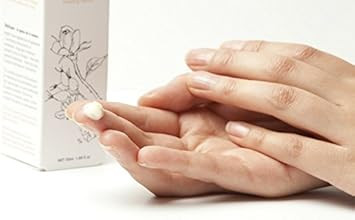 Odylique Organic Face Cream with Rose Water & Rosehip 50ml | Vegan & 100% Natural Moisturiser Day Cream | Soothing & Ideal for Sensitive Skin | Face Moisturiser for Women | Face Cream for Women |