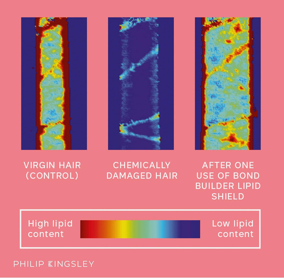 Philip Kingsley | Bond Builder Lipid Shield | Restorative Hair Oil Treatment for Dry and Damaged Hair | Heat Protectant Hair Moisturizer that Replenishes Dry and Damaged Hair | 30ml