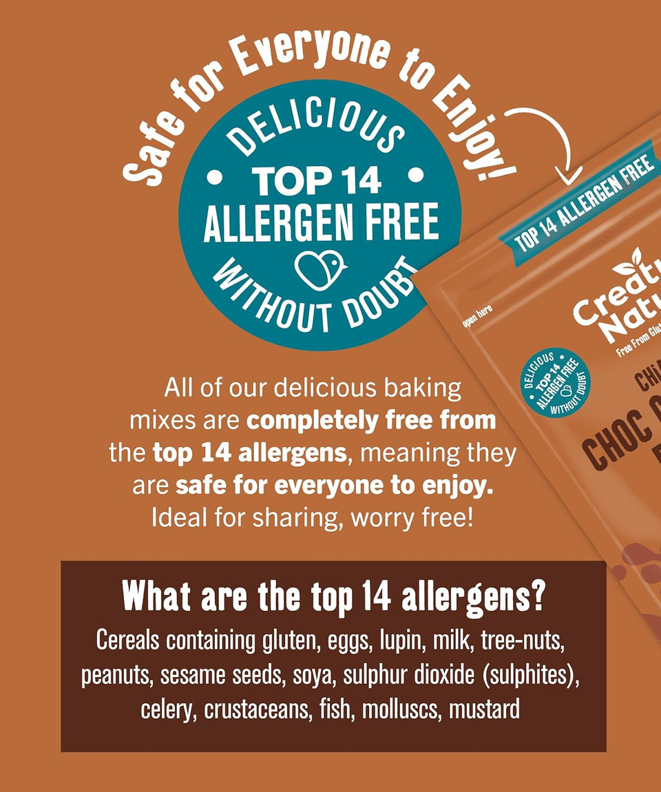 Gluten Free Cake Mix | Creative Nature Vegan Brownie Mix | Nut Free, Dairy Free Baking Mix | Top 14 Allergen Free | 2 Pack