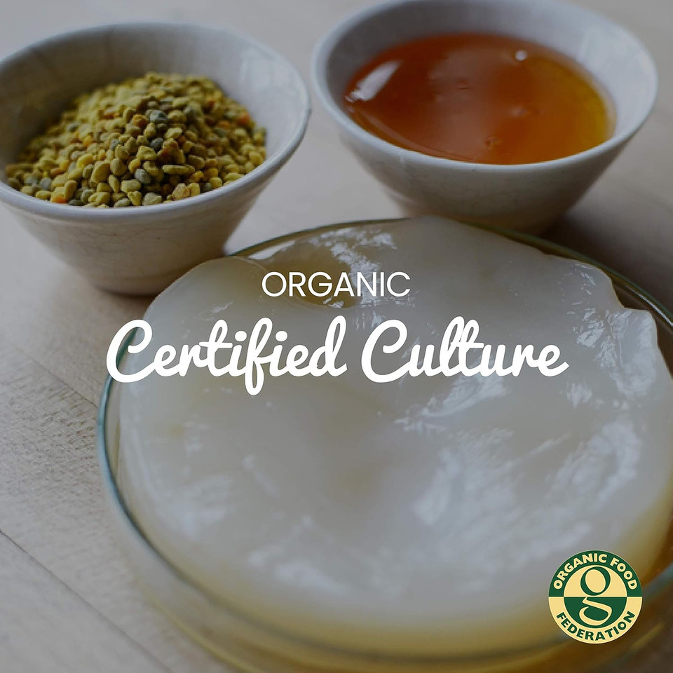 Freshly Fermented - Organic Jun Tea Scoby (1 Litre Size)