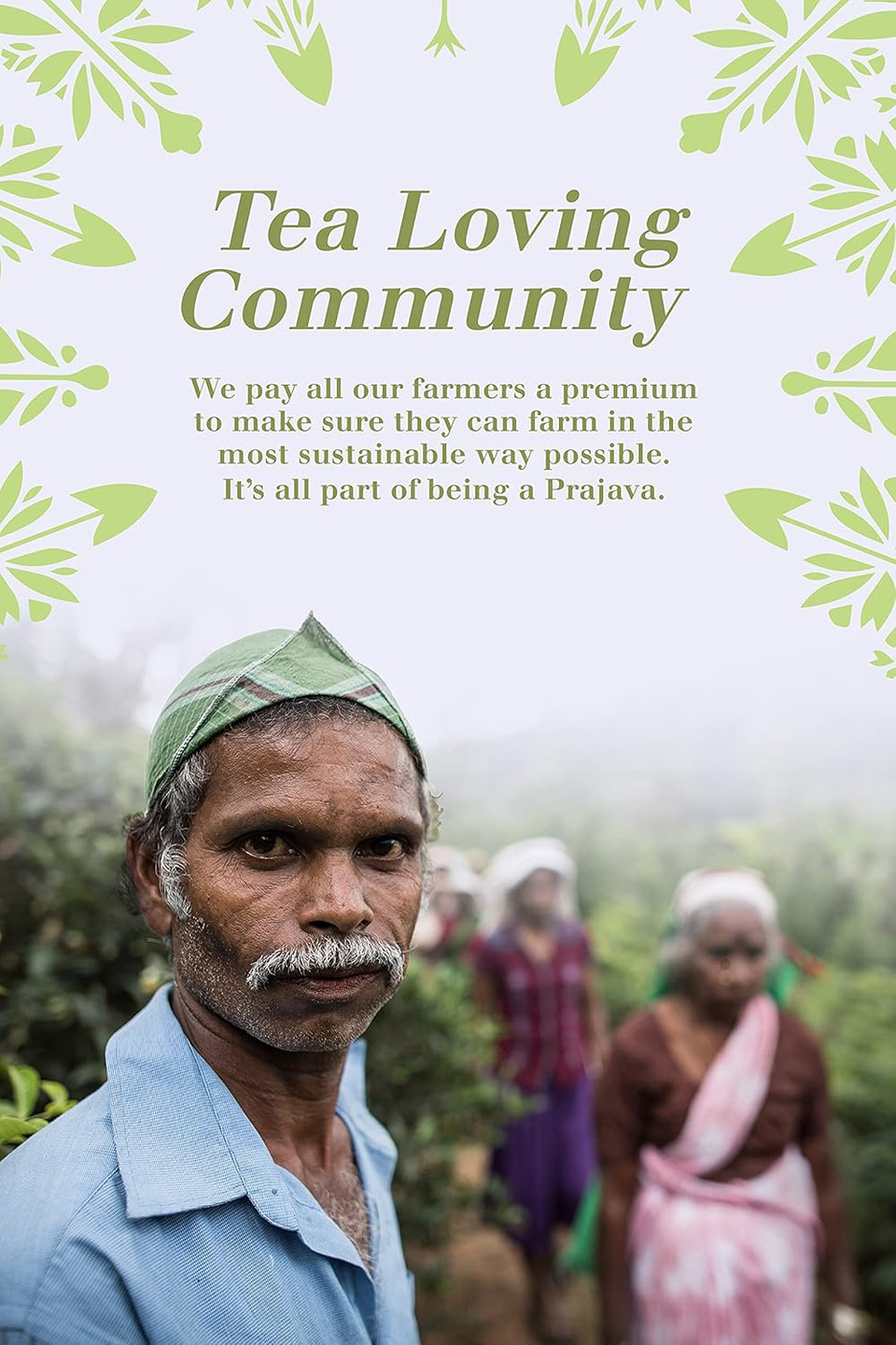 English Tea Shop Organic Luxury Gift Tin - 72 Tea Bag Sachets - 6 Different Flavours., 136 g