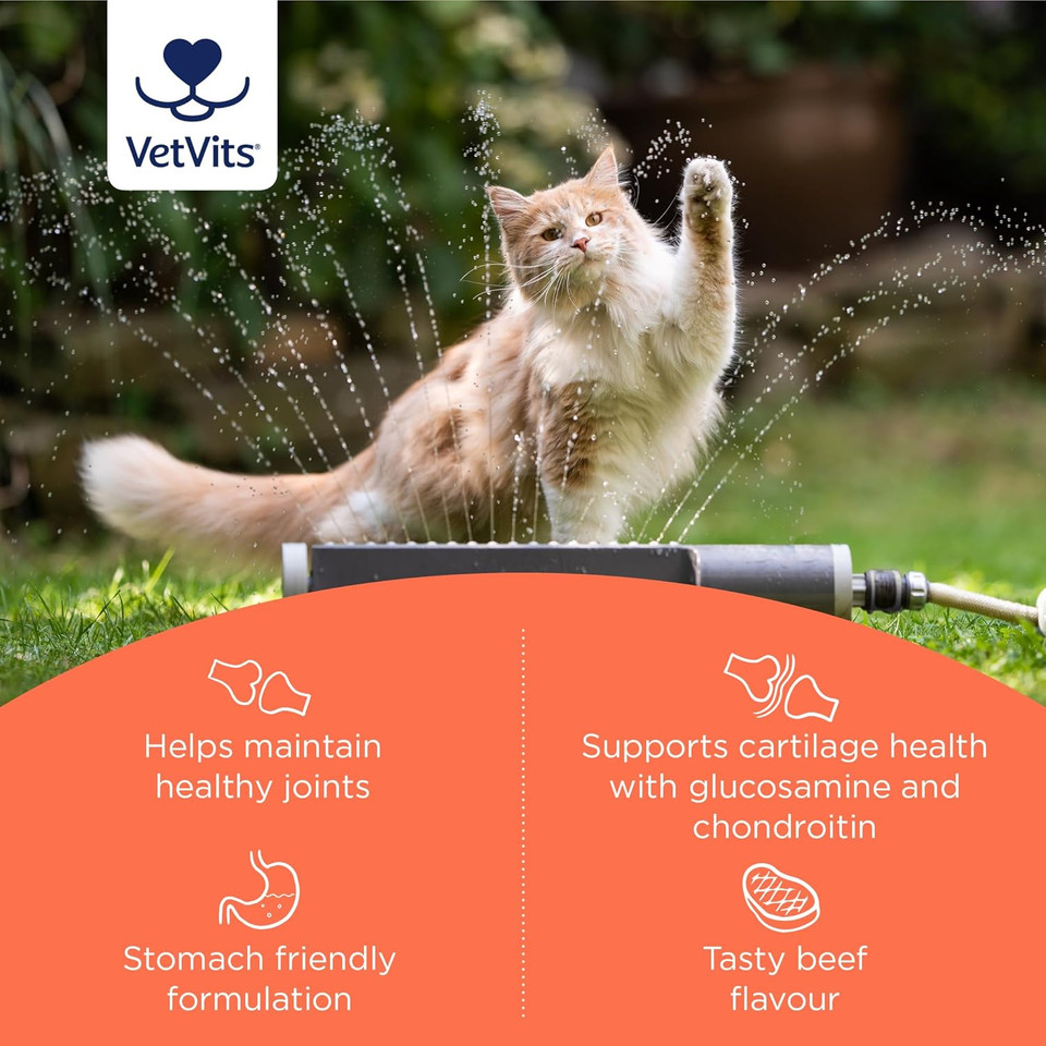Vetvits by Healthspan Flexi-Joints For Cats (4 months' supply) | Advanced Blend of Glucosamine & Chondroitin to support your cat's joint health | With Vitamins C & E | Tasty beef flavoured