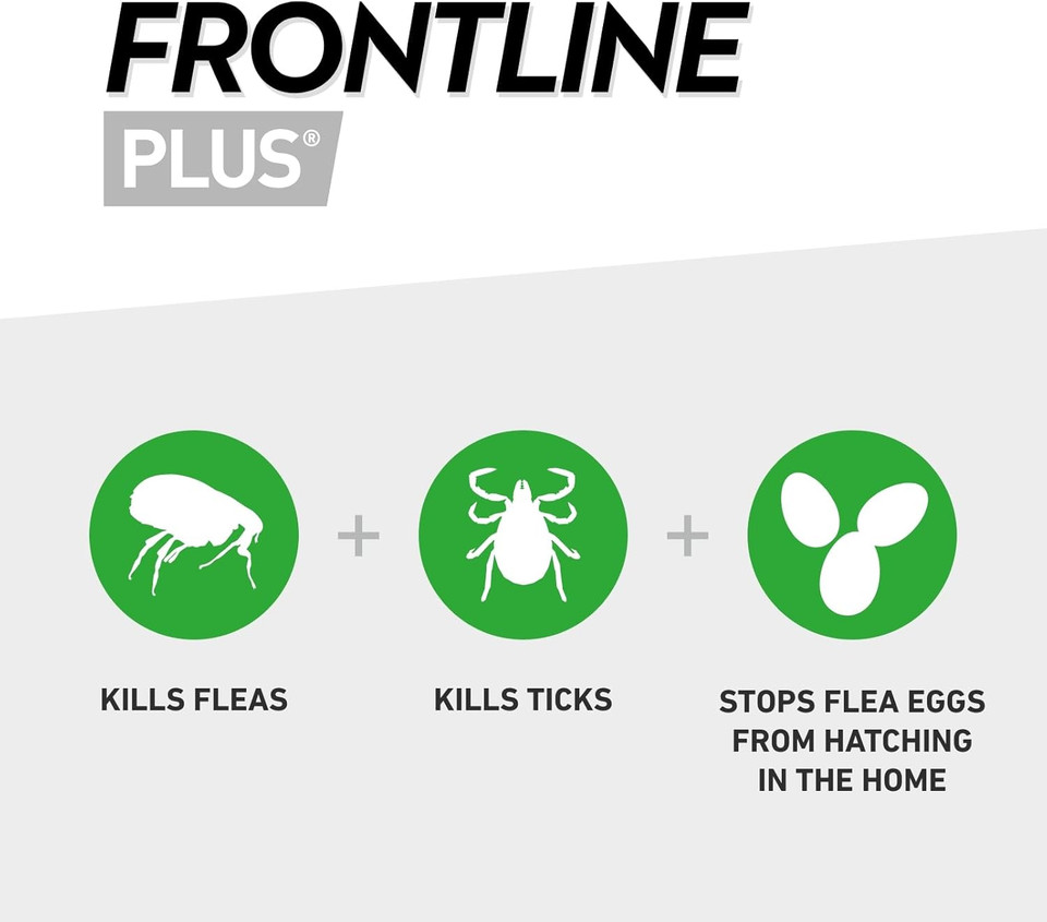 FRONTLINE Plus Flea & Tick Treatment for Cats and Ferrets - 3 Pipettes