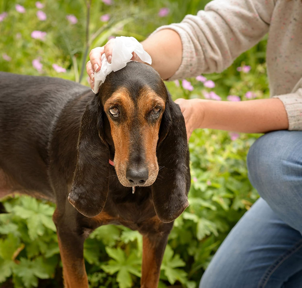 Aqueos Dog Wipes Antibacterial - 200 wipes Pet Antiseptic Dog Ear Wipes for Paw Face Bums Bulldogs Wrinkle, Grooming Dog Wipes for Smelly Dogs Puppy