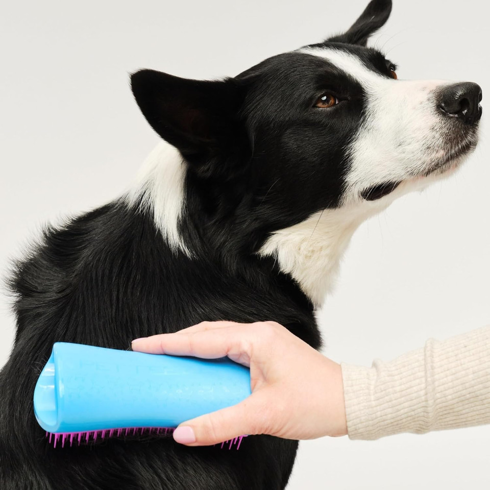 Tangle Teezer Large Pet Teezer De-Shedding Grooming Brush - For Dry Hair or Bath - The Perfect Deshedding Brush for Dogs - Blue & Pink