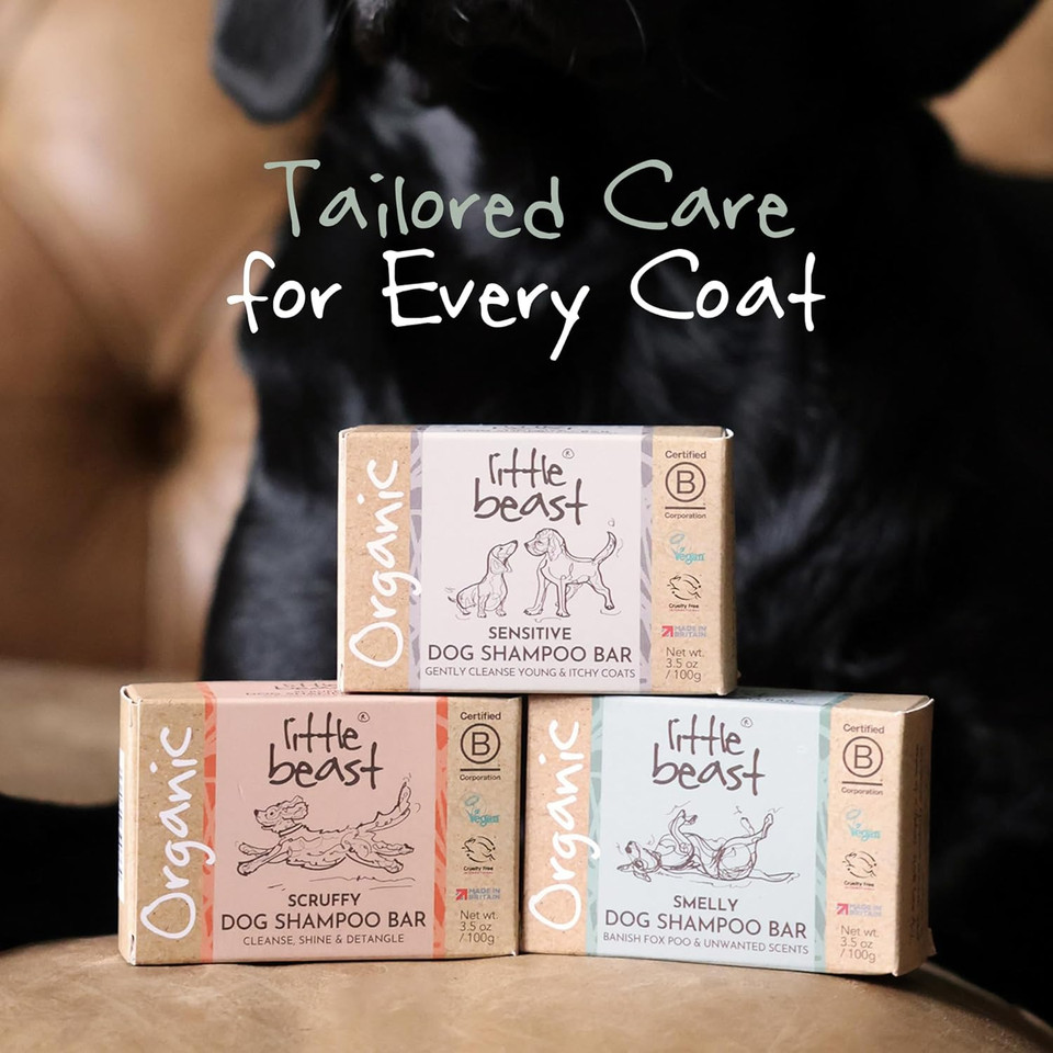 Little Beast Smelly Dog Shampoo Bar | Odour Control with Charcoal & Zinc Oxide | Vegan, Cruelty-Free, No SLS or Parabens | Fresh-Smelling Pet Shampoo Bar | 100g