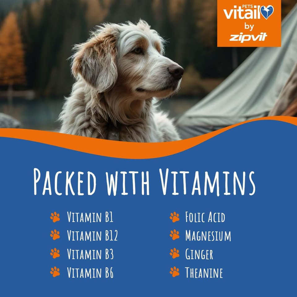 Zipvit Dog Calming Tablets, Natural Calming Support, Reduces Stress, Anxiety, Fear and Separation Anxiety, 120 Tablets, Liver Flavour