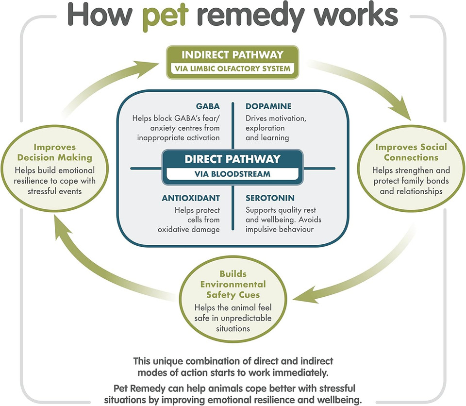 Pet Remedy Calming Spray 75ml | Dog Anxiety Relief and Cat Calming Product | Relieves Dog and Cat Separation Anxiety, Stress from Fireworks, House Moves, Companion Loss & More |