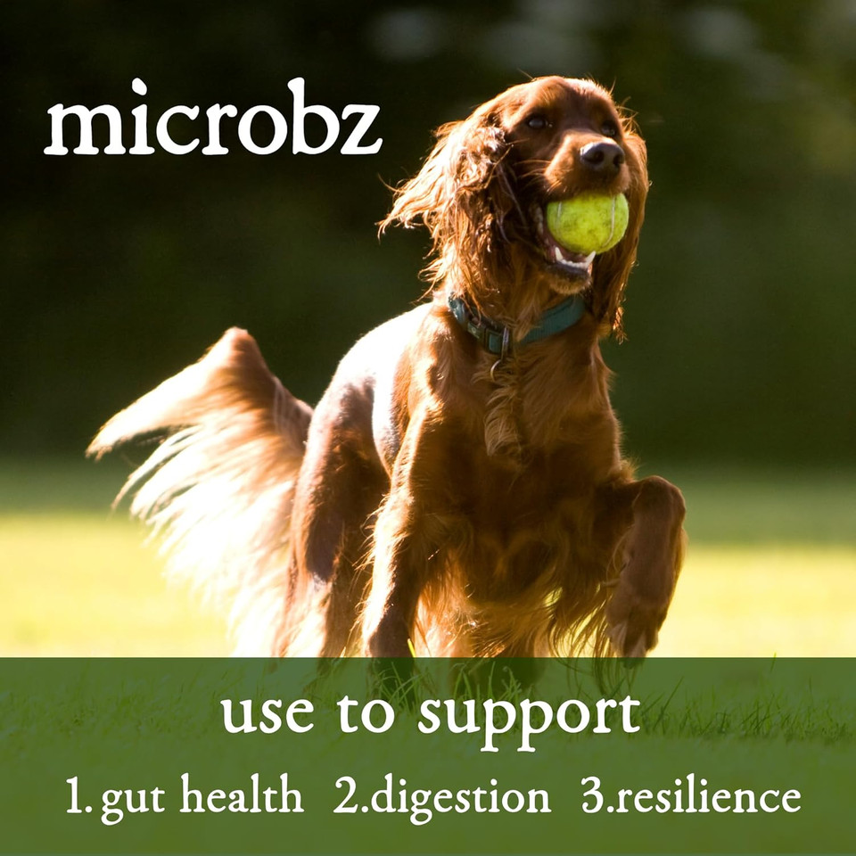 MICROBZ DOG NUTRITION | 1 Litre | Liquid Beneficial Microbes for Dogs Gut Health, Digestive Care & Coat Health  Gluten & Dairy Free, 100% Natural - Up to 100 Servings MICROBZ DOG NUTRITION | 1 Litre | Liquid Beneficial Microbes for Dogs Gut Health, Digestive Care & Coat Health  Gluten & Dairy Free, 100% Natural - Up to 100 Servings