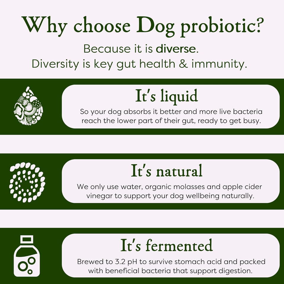 MICROBZ DOG NUTRITION | 1 Litre | Liquid Beneficial Microbes for Dogs Gut Health, Digestive Care & Coat Health  Gluten & Dairy Free, 100% Natural - Up to 100 Servings MICROBZ DOG NUTRITION | 1 Litre | Liquid Beneficial Microbes for Dogs Gut Health, Digestive Care & Coat Health  Gluten & Dairy Free, 100% Natural - Up to 100 Servings