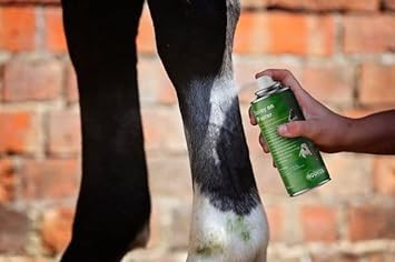 Aqueos Spray on Plaster for Dogs, Cats, Horses and All Animals - Protects Minor Wounds from Germs, Insect and Fly for use in Dog First Aid Kit / 200ml