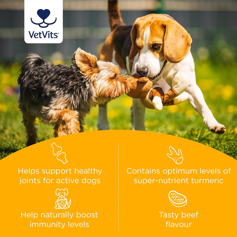 Vetvits by Healthspan Flexi-Turmeric For Dogs (120 Tablets) | Joint Support for Active Dogs | Vitamin C & Brewers Yeast | 400mg High-Grade Turmeric | Easy to Crumble on Food | Pet Health