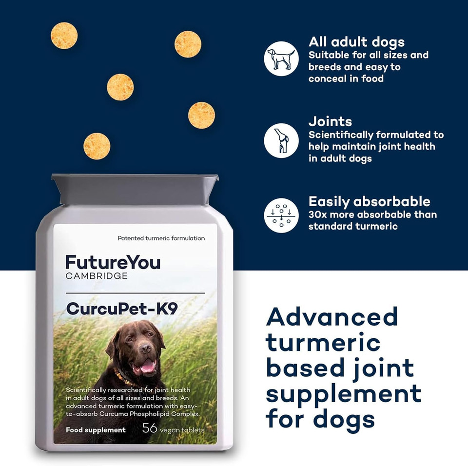CurcuPet Turmeric Supplements  168 Tablets  Joint Aid for Dogs and Cats with Curcuma Complex  Joint Supplements for pets by FutureYou Cambridge