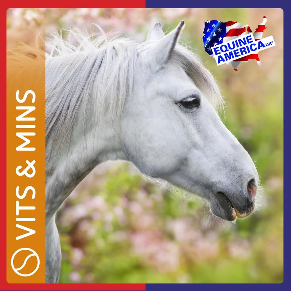 Equine America Horse Treat Multi Vitamin Supplement