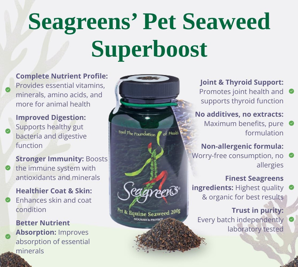 Seagreens Seaweed Supplement for Pets & Horses, 200g, 2 Weeks - 6 Months Supply, Natural Seaweed for Dogs, Cats & Equine, Granules, Daily Pet Nutrition Support, Vegan & Additive-Free