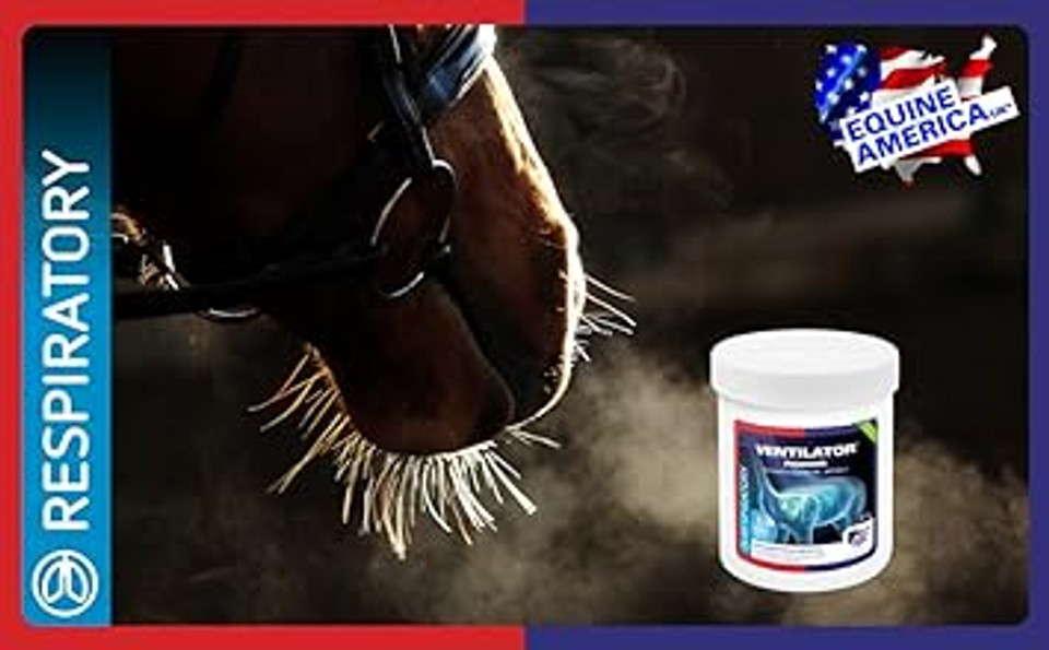 Equine America Ventilator Powder | Premium Ready To Use Horse & Pony Supplement | Support Respiration Naturally | 500 g