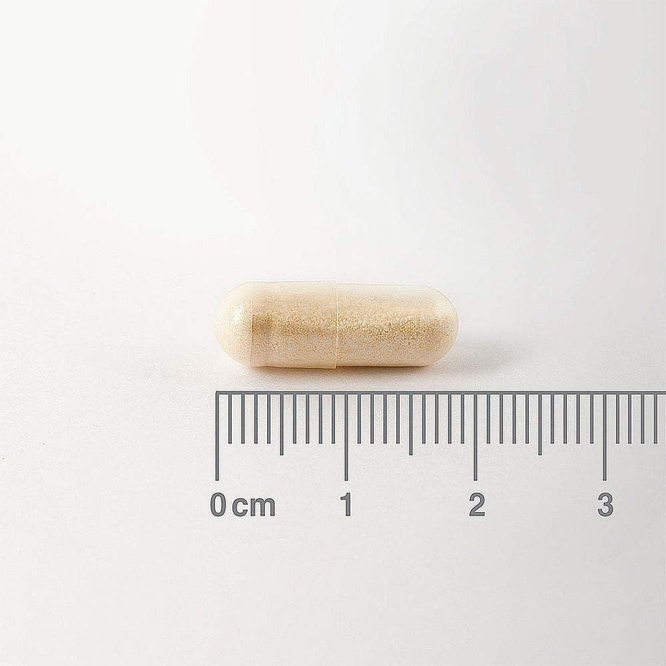 Lamberts Digestizyme - 100 Vegetarian Capsules - Comprehensive Enzyme Complex