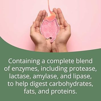 Essential Digestive Plus, Digestive Health Supplement | 90 Vegetable Capsules - Good Health Naturally