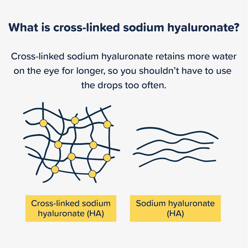 Rayner AEON Protect Plus - Eye Drops for Moderate to Severe Dry Eye Before & After Surgery - Preservative Free & Contact Lens Friendly, 10ml (Pack of 2)